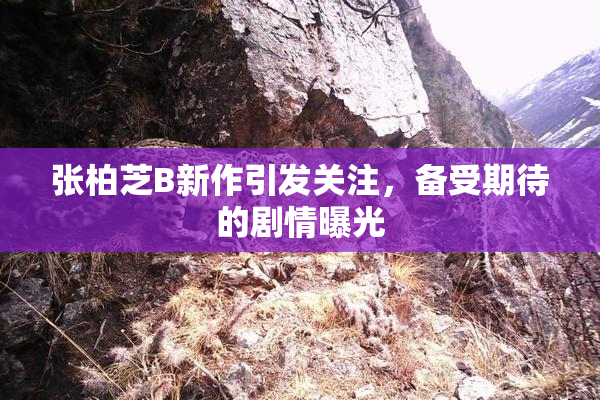 张柏芝B新作引发关注，备受期待的剧情曝光