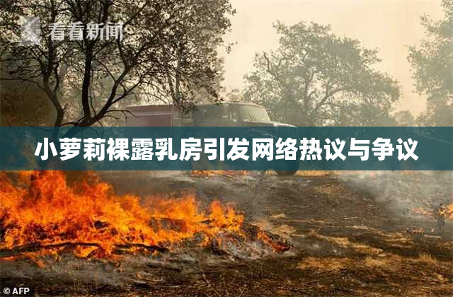 小萝莉裸露乳房引发网络热议与争议