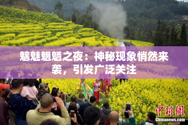 魑魅魍魉之夜：神秘现象悄然来袭，引发广泛关注