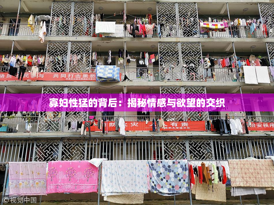 寡妇性猛的背后：揭秘情感与欲望的交织