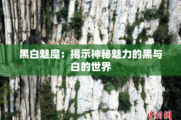 黑白魅魔：揭示神秘魅力的黑与白的世界
