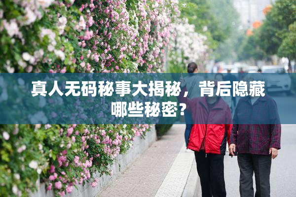 真人无码秘事大揭秘，背后隐藏哪些秘密？