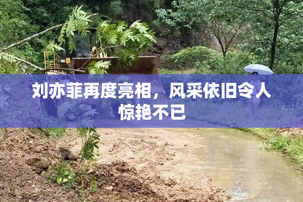 刘亦菲再度亮相，风采依旧令人惊艳不已