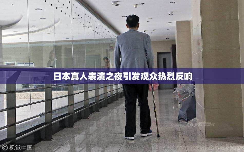 日本真人表演之夜引发观众热烈反响
