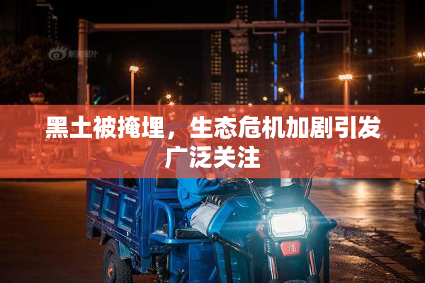 黑土被掩埋，生态危机加剧引发广泛关注