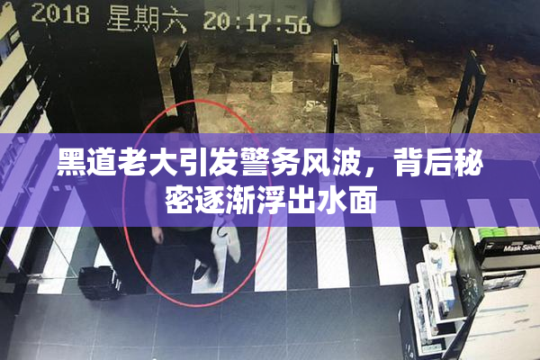 黑道老大引发警务风波，背后秘密逐渐浮出水面