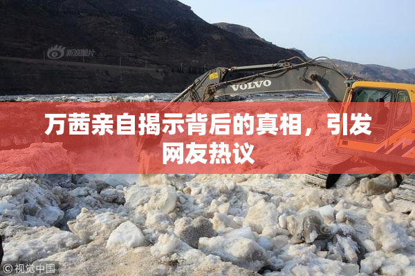 万茜亲自揭示背后的真相，引发网友热议
