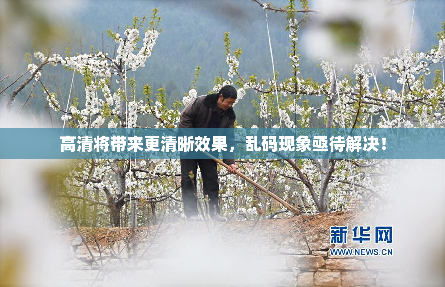 高清将带来更清晰效果，乱码现象亟待解决！