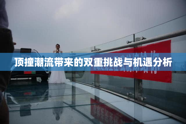 顶撞潮流带来的双重挑战与机遇分析