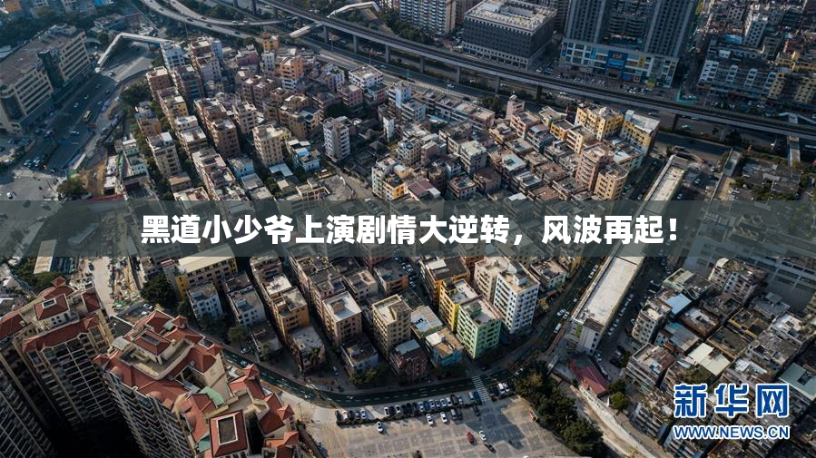 黑道小少爷上演剧情大逆转，风波再起！