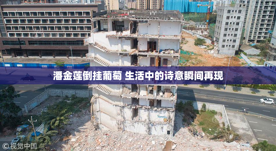 潘金莲倒挂葡萄 生活中的诗意瞬间再现