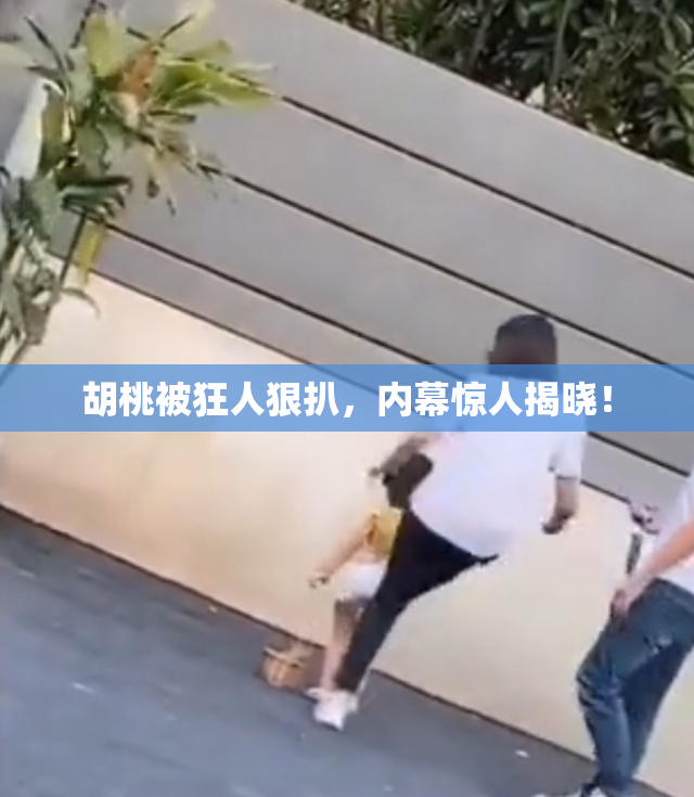 胡桃被狂人狠扒，内幕惊人揭晓！