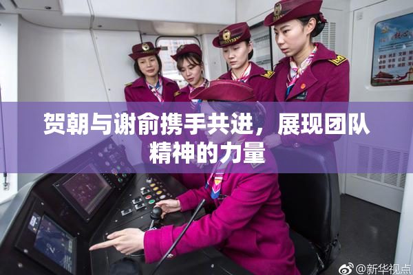 贺朝与谢俞携手共进，展现团队精神的力量