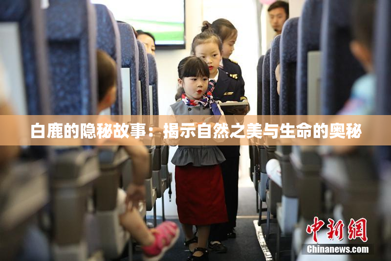 白鹿的隐秘故事：揭示自然之美与生命的奥秘