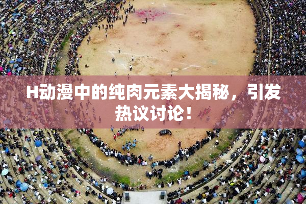 H动漫中的纯肉元素大揭秘，引发热议讨论！