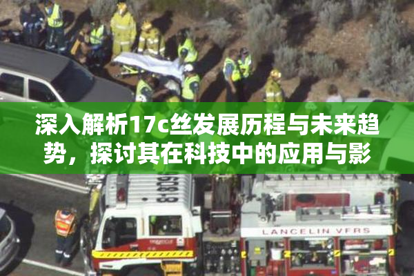 深入解析17c丝发展历程与未来趋势，探讨其在科技中的应用与影响。