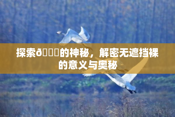 探索🔞的神秘，解密无遮挡裸的意义与奥秘