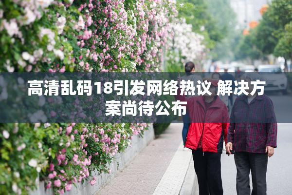 高清乱码18引发网络热议 解决方案尚待公布