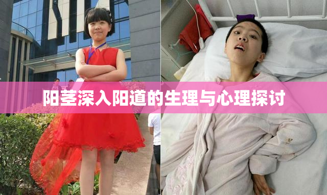 阳茎深入阳道的生理与心理探讨