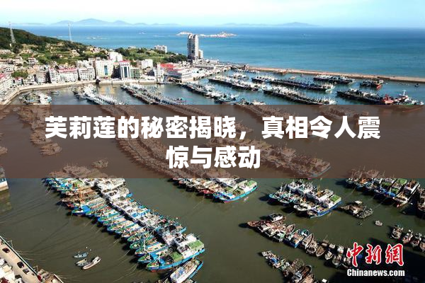 芙莉莲的秘密揭晓，真相令人震惊与感动