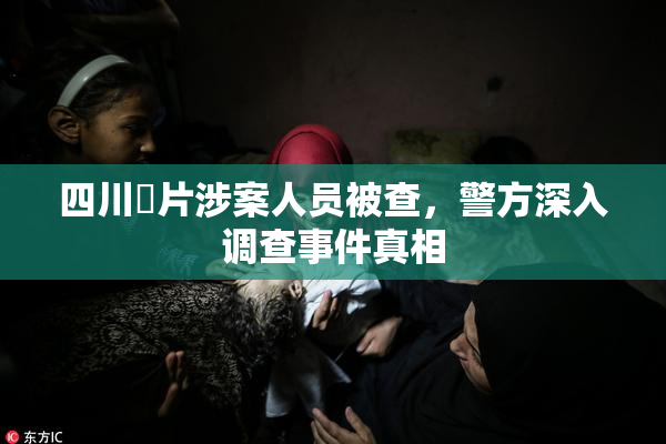 四川婬片涉案人员被查，警方深入调查事件真相