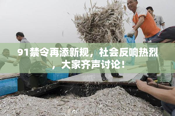 91禁令再添新规，社会反响热烈，大家齐声讨论！