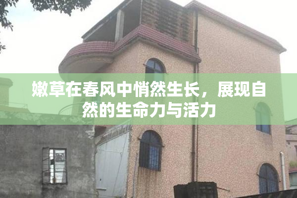 嫩草在春风中悄然生长，展现自然的生命力与活力