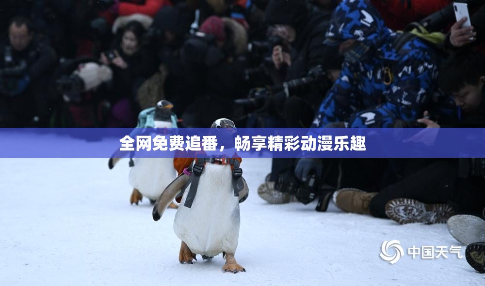 全网免费追番，畅享精彩动漫乐趣