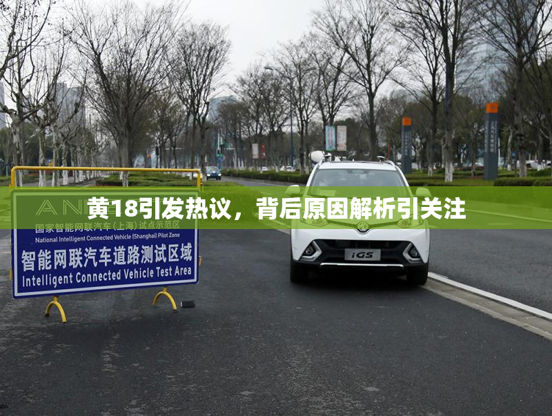 黄18引发热议，背后原因解析引关注