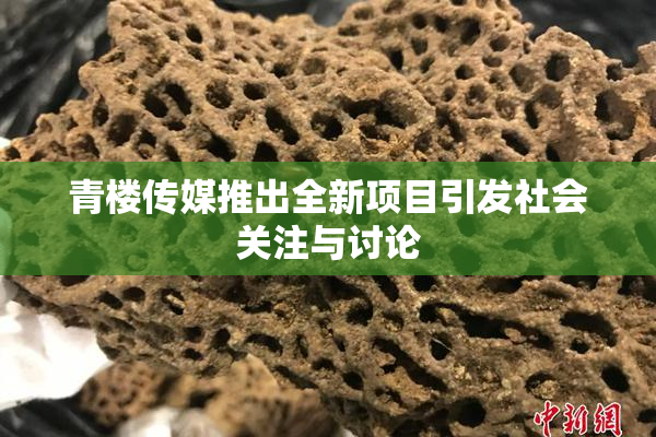 青楼传媒推出全新项目引发社会关注与讨论