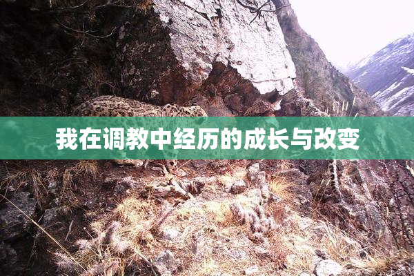 我在调教中经历的成长与改变