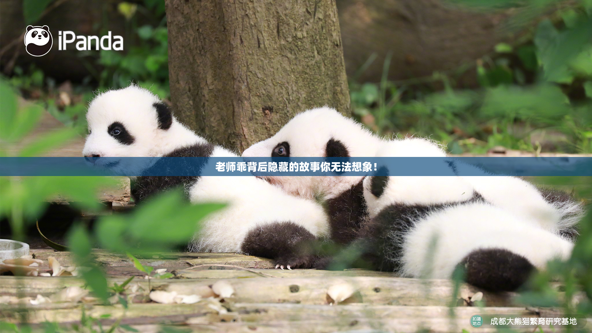老师乖背后隐藏的故事你无法想象！