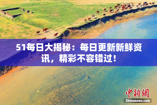 51每日大揭秘：每日更新新鲜资讯，精彩不容错过！