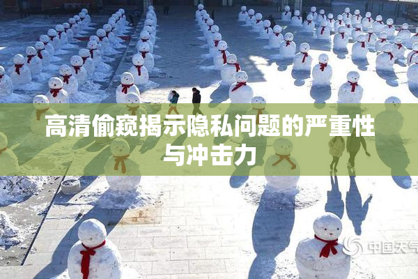 高清偷窥揭示隐私问题的严重性与冲击力
