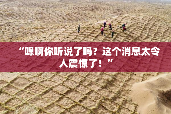 “嗯啊你听说了吗？这个消息太令人震惊了！”