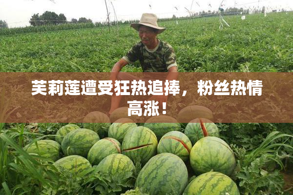 芙莉莲遭受狂热追捧，粉丝热情高涨！