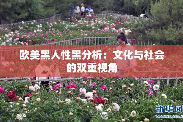 欧美黑人性黑分析：文化与社会的双重视角