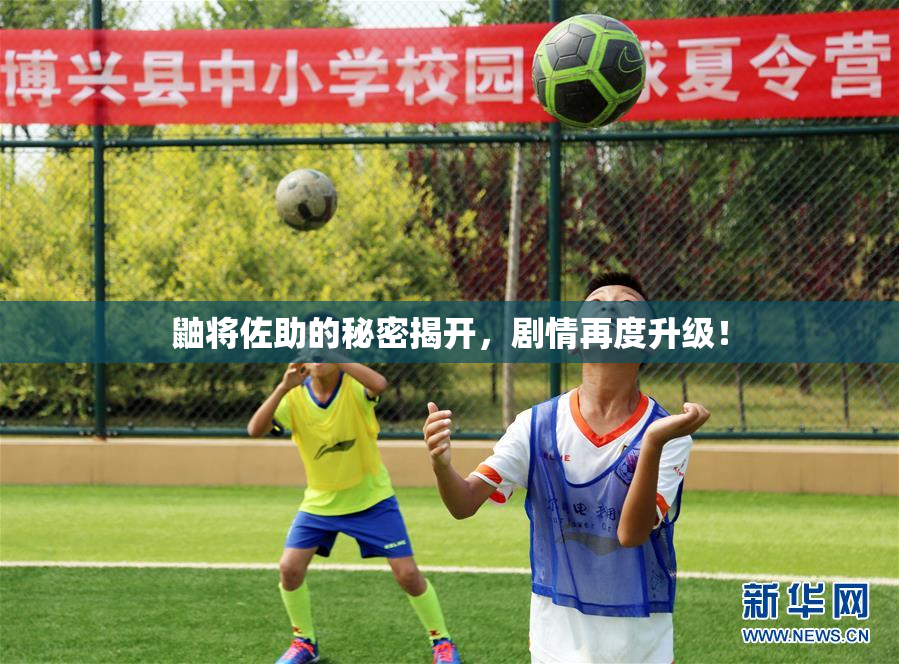 鼬将佐助的秘密揭开，剧情再度升级！