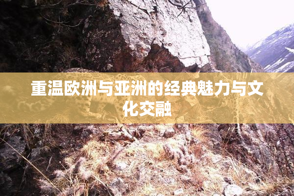 重温欧洲与亚洲的经典魅力与文化交融