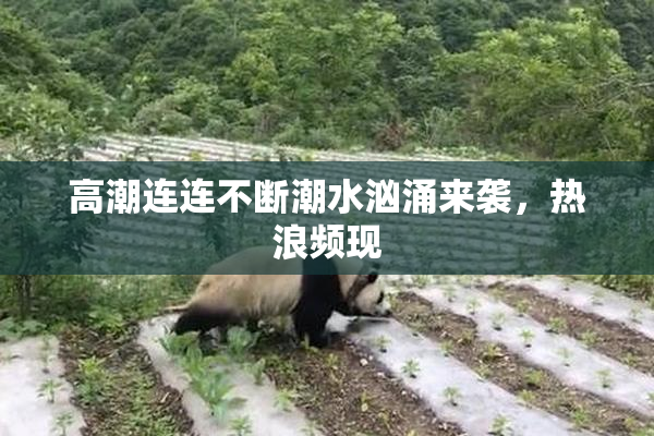 高潮连连不断潮水汹涌来袭，热浪频现