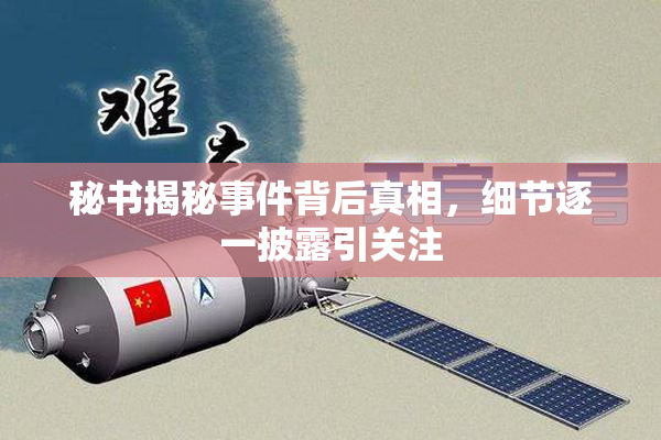 秘书揭秘事件背后真相，细节逐一披露引关注