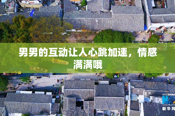 男男的互动让人心跳加速，情感满满哦