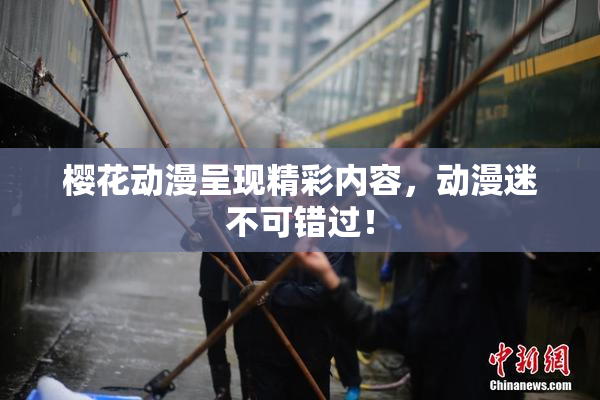 樱花动漫呈现精彩内容，动漫迷不可错过！