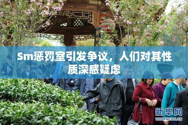 Sm惩罚室引发争议，人们对其性质深感疑虑