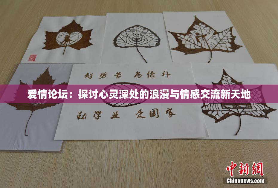 爱情论坛：探讨心灵深处的浪漫与情感交流新天地