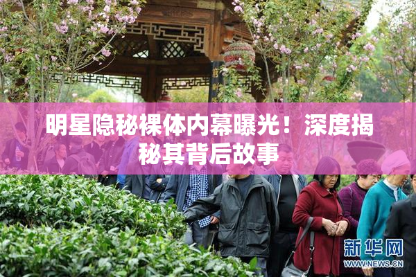 明星隐秘裸体内幕曝光！深度揭秘其背后故事