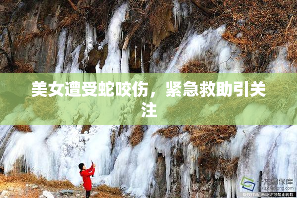 美女遭受蛇咬伤，紧急救助引关注
