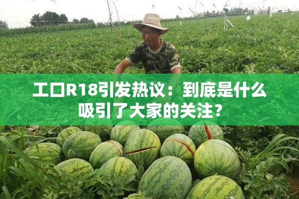 工口R18引发热议：到底是什么吸引了大家的关注？