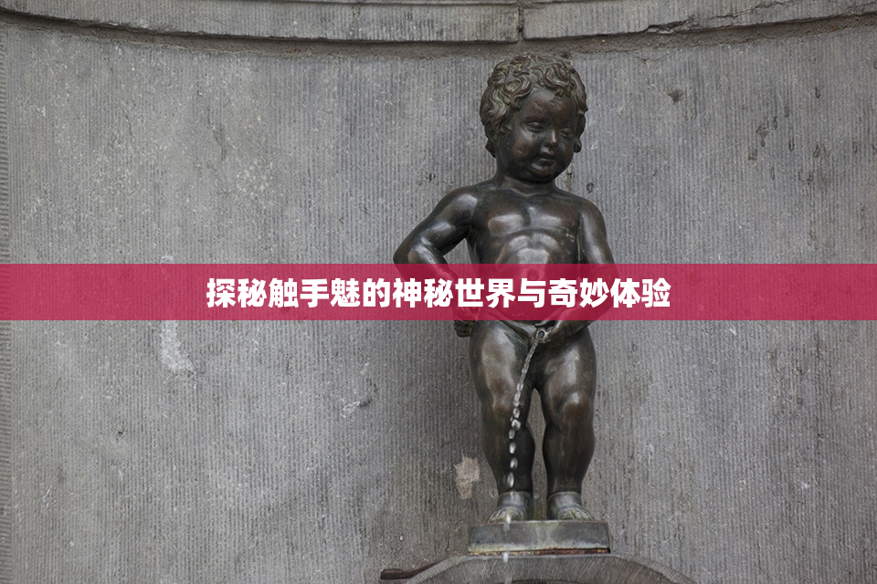 探秘触手魅的神秘世界与奇妙体验