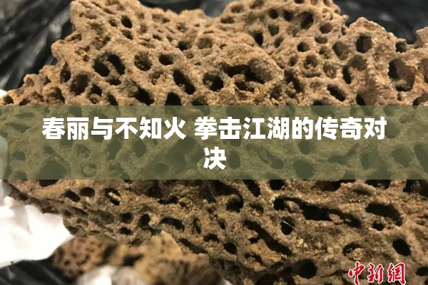 春丽与不知火 拳击江湖的传奇对决